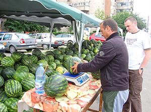 Ultimul an cu lubeniţă de Dăbuleni        