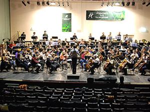 Filarmonica are şanse să fie declarată “naţională” abia în 2011