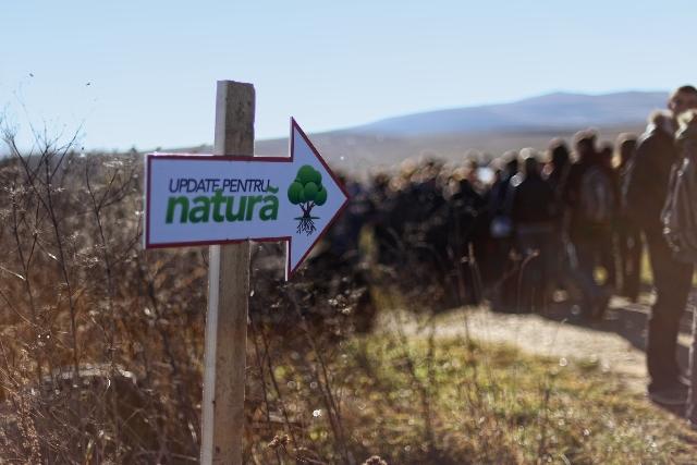 10.000 de puieţi plantaţi într-o singură zi în Ciurila FOTO