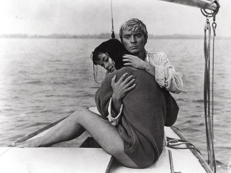 Krivach, Polanski şi bigudiuri 