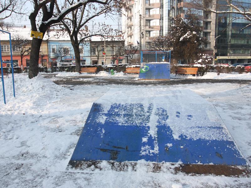 Primăria a anulat licitaţia pentru skate-parcuri