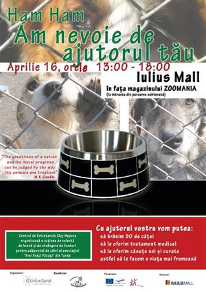 Oferă mâncare pentru câinii abandonaţi. Vezi unde poţi dona