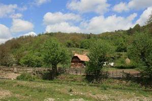 Planul Regional de Acţiune pentru Mediu va fi revizuit