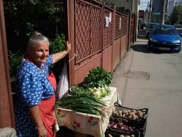 În mijlocul celui mai arid cartier clujean se cultivă legume FOTO