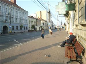 Patru bănci din parcul central al Clujului au ajuns în staţiile de transport în comun