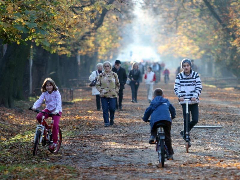 Topul spaţiilor verzi pe cartiere