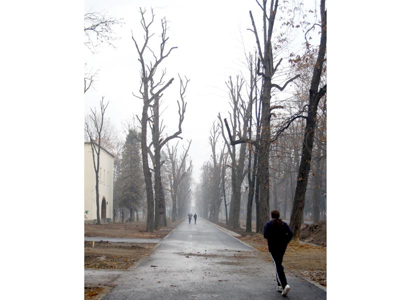 Parcul Central: aleile au fost betonate, copacii au rămas fără crengi