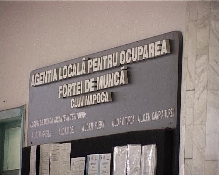 Doar 41 joburi vacante pentru şomeri în Cluj, săptămâna viitoare