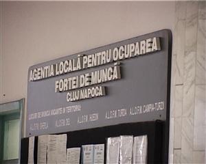 Doar 41 joburi vacante pentru şomeri în Cluj, săptămâna viitoare