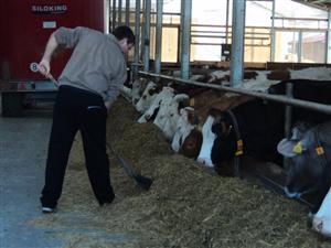 MADR a lansat Reţeaua Naţională de Dezvoltare Rurală, prin care fermierii învaţă să depună proiecte