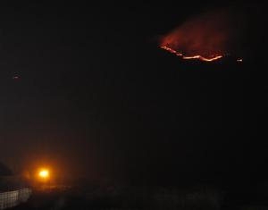 Focul a aprins pădurea, iar fumul gros a îngreunat circulaţia autovehiculelor FOTO/VIDEO