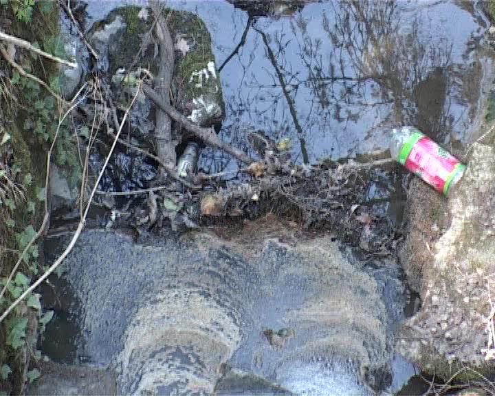 Gunoaie la grădina botanică VIDEO