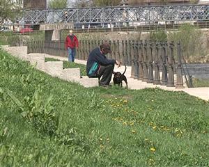 Boala Lyme loveşte la Cluj VIDEO
