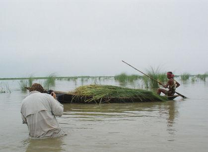 Documentarul 