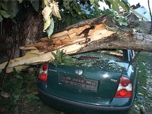 Furtuna a făcut pagube: în Căşeiu un copac rupt de vânt s-a răsturnat peste o casăVIDEO