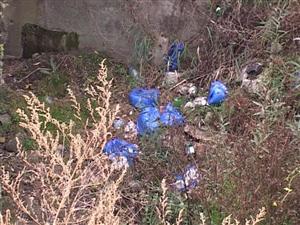 Municipalitatea clujeană a primit amendă  pentru gunoaiele din pâraie 