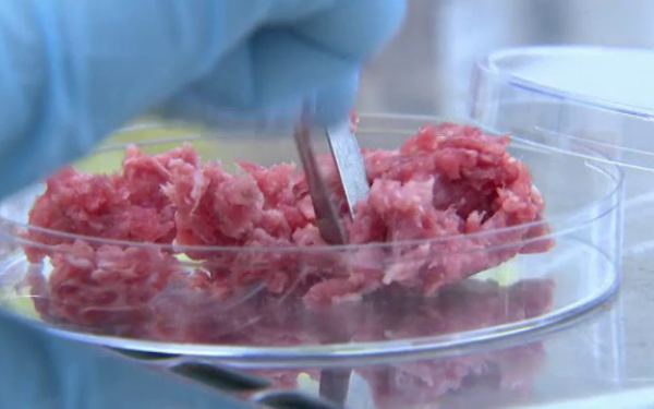 DSVSA Cluj: Carnea găsită în Tarniţa a fost trimisă la Bucureşti pentru identificarea speciei 