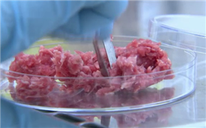 DSVSA Cluj: Carnea găsită în Tarniţa a fost trimisă la Bucureşti pentru identificarea speciei 