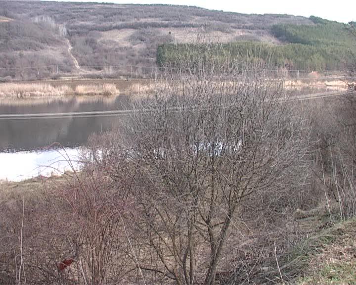 De ce s-a blocat modernizarea unui drum judeţean din Cluj din cauza păsărilor VIDEO