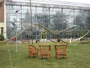 Sculptură inedită la Grădina Botanică: cum arată şi ce înseamnă FOTO