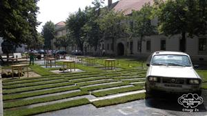 Gazon natural pe strada Kogălniceanu FOTO