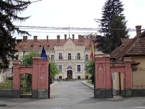 PSD câştigă în scandalul  de la Direcţia Copilului 