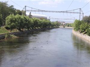 Râul Someşul Mic, poluat accidental cu ulei hidraulic 