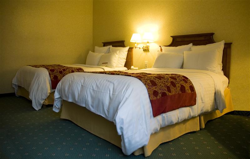 A prădat mai multe hoteluri. Prins de poliţişti, a fost pus în libertate de instanţă