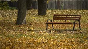 Vreme frumoasa, dar rece la Cluj