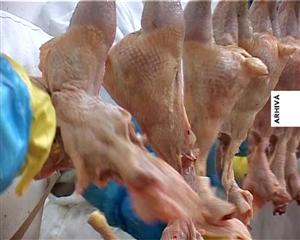 Carnea de pui stricată din dosarul de evaziune a ajuns şi la Cluj VIDEO