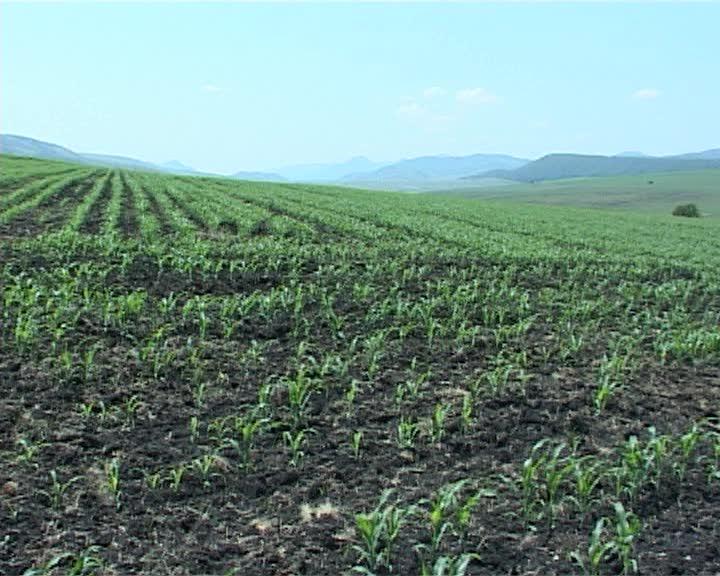 Preţurile terenurilor agricole au urcat cu 60% în doi ani, dar rămân de 2-8 ori mai mici decât în UE