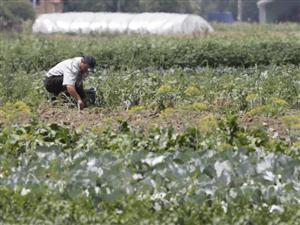 Fermierii vor afla despre banii europeni care le sunt puşi la dispoziţie