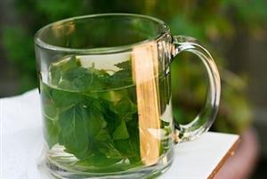 Ceaiul magic, util in 40 de afectiuni. Intareste sistemul imunitar, regleaza metabolismul