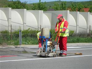 Ultima sută de metri la Bosch. Se lucrează de zor la borduri şi gazon GALERIE FOTO