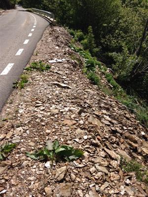 Surpări de teren în zona Răchiţele. Se circulă cu restricţii 