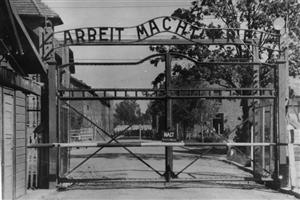 Monument dedicat victimelor Holocaustului, în Parcul Central