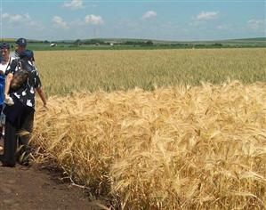Agricultura şi construcţiile au frânat creşterea economică, susţinută de industrie şi impozite nete