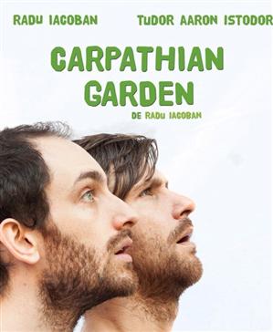 Muzică, teatru şi dans la Comedy Cluj