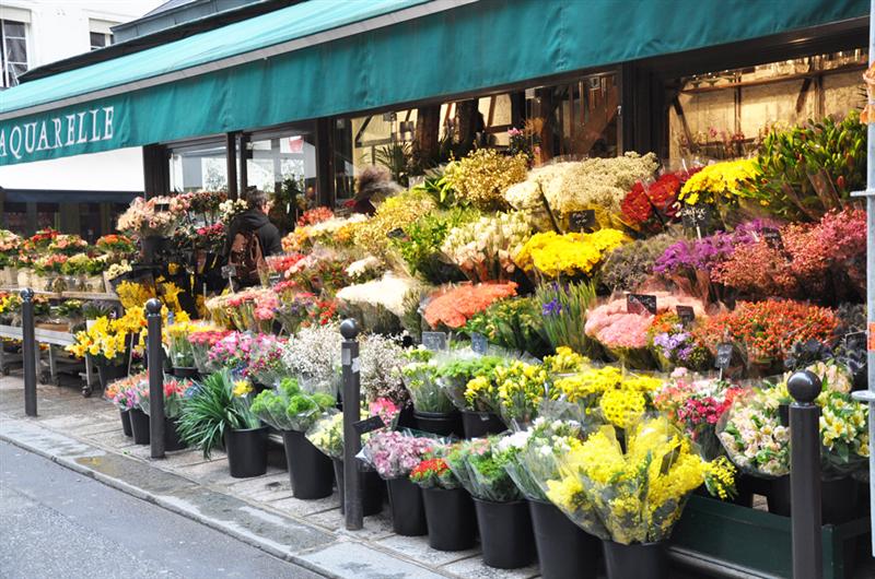 Piaţa Lucian Blaga îşi schimbă imaginea. Florarii clujeni se mută în chioşcuri moderne
