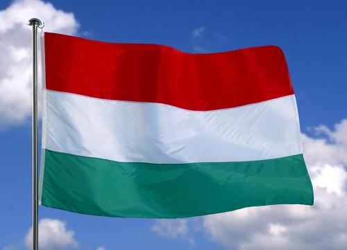 Németh Zsolt la Cluj: Ungaria nu decide ce candidat maghiar este mai potrivit pentru Preşedinţia României