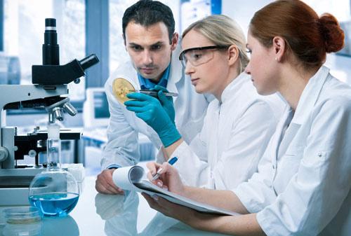 Primele stomacuri umane miniaturale, obţinute în laborator de cercetătorii americani