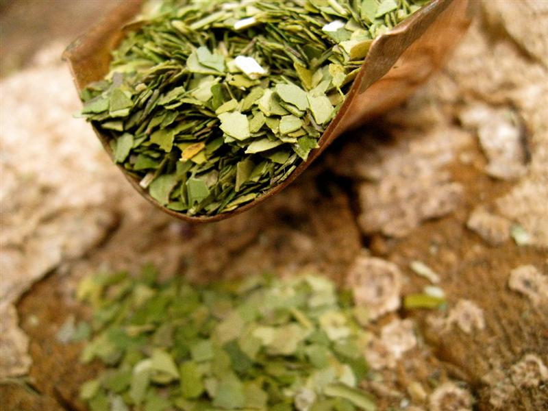 Iarba MAGICĂ: reduce COLESTEROLUL, apără de CANCER, combate OBEZITATEA 