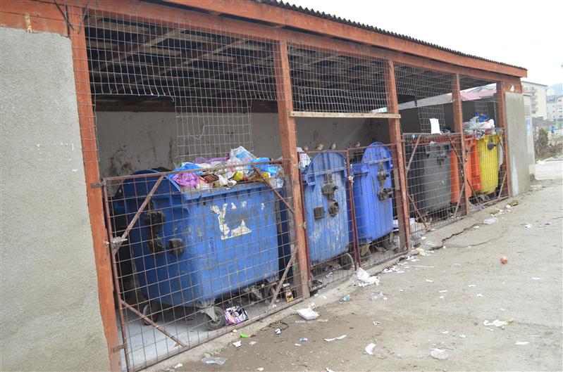 Floreşti, comuna invadată de şobolani: “Maşina s-o aprins din cauză că o ros şobolanii firele”