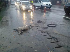 Surpriză de proporţii. Ce au descoperit muncitorii veniţi să desfunde o canalizare