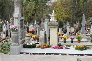 Municipalitatea pregăteşte amenajarea unui cimitir nou la Cluj. Unde va fi amplasat