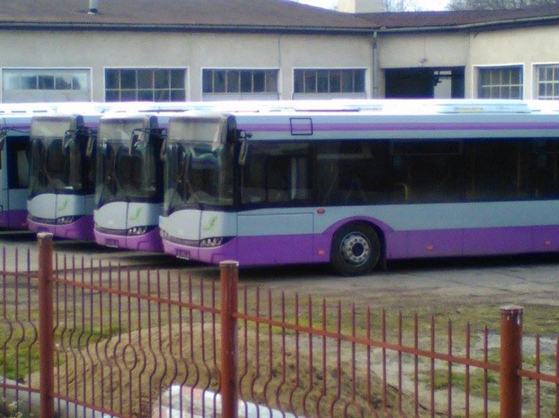 Sărbători în garaj. Autobuzele mov pornesc din ianuarie