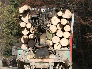 Hoţii de lemne revin în forţă: un bărbat a fost prins transportând cherestea de 30.000 de lei