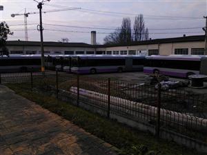 16 x mov. Mai mult de jumătate dintre autobuzele poloneze sunt încă în garaj 