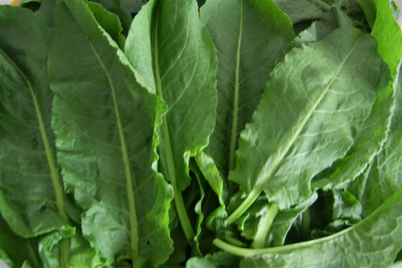 MEDICAMENTUL NATURAL pe care îl dai la PORCI: tratează DIABETUL, OSTEOPOROZA şi GINGIVITA, alungă RIDURILE