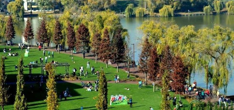 Picnic in the Park de 1 Mai. Unde are loc şi care este programul evenimentului VIDEO